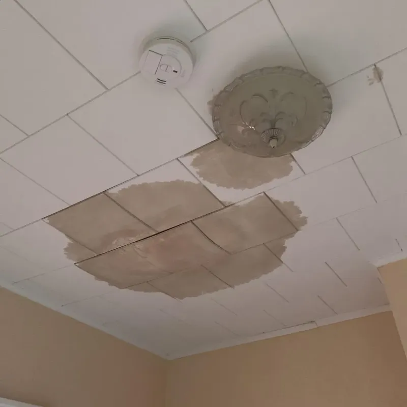 Ceiling Water Damage Repair in Ellwood City, PA