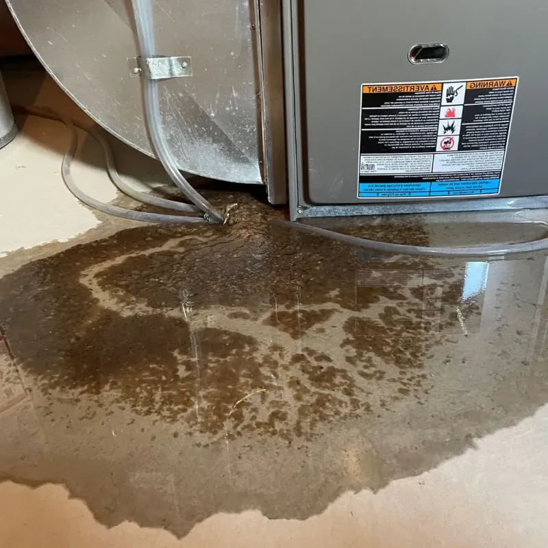 Pipe Burst and Leak Restoration in Ellwood City, PA