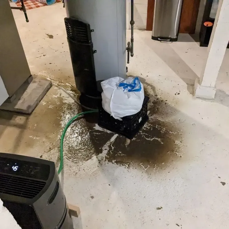 Sewage Backup Cleanup Service in Ellwood City, PA